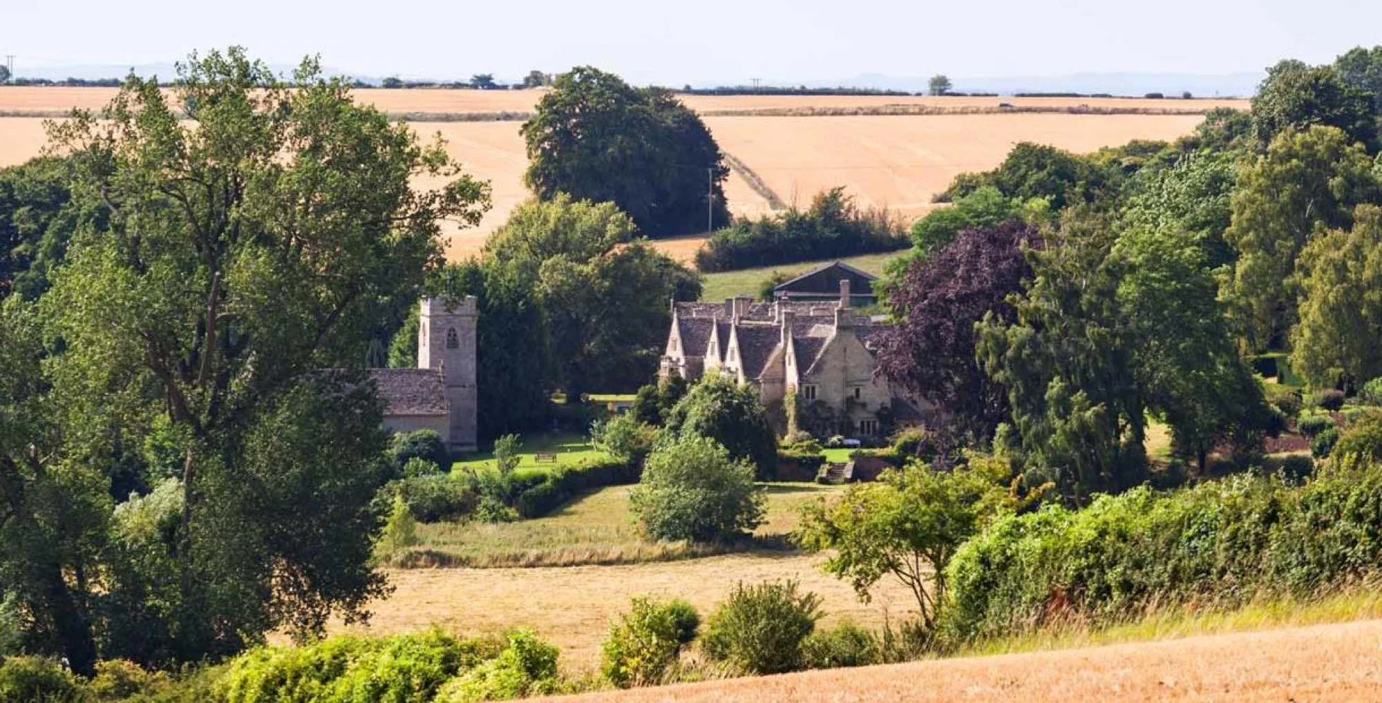 The gardens in summer